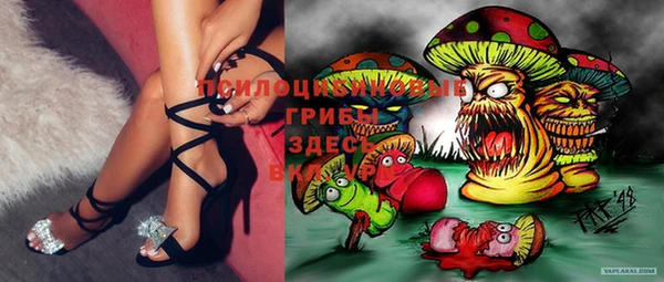 МДМА Белокуриха