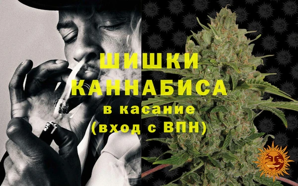 крисы Богородск